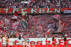 fc_freiburg_2526_001s