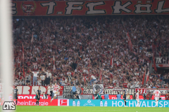 fc_freiburg_2526_002s