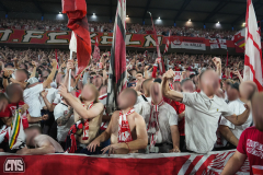 fc_freiburg_2526_002t