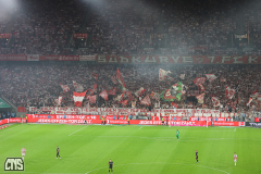 fc_freiburg_2526_002y