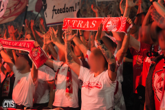 fc_freiburg_2526_003b