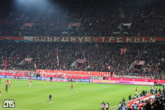 fc_wolfsburg_2526_001d