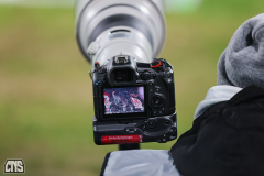 fc_wolfsburg_2526_002a