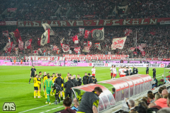 fc_dortmund_2526_001i