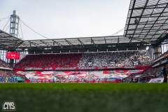 fc_heidenheim_2526_001c
