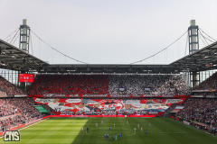fc_heidenheim_2526_001d