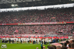 fc_heidenheim_2526_001y