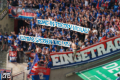 fc_heidenheim_2526_002d