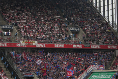 fc_heidenheim_2526_002e