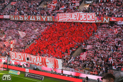 fc_stuttgart_2526_001s