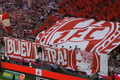 fc_stuttgart_2526_001v