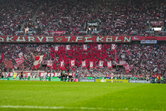 fc_stuttgart_2526_002t