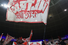 hoffenheim_fc_2526_002a
