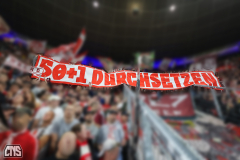hoffenheim_fc_2526_002e