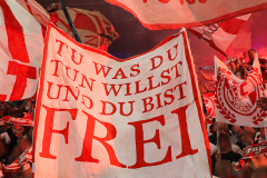 hoffenheim_fc_2526_002j