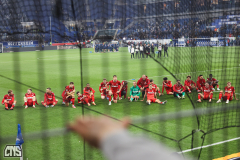 hoffenheim_fc_2526_002k