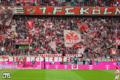 fc_augsburg_2526_001q