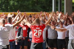 fc_hoffenheim_2627_001a