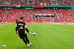 fc_hoffenheim_2627_001f
