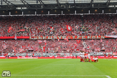 fc_hoffenheim_2627_001k