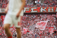 fc_hoffenheim_2627_001s