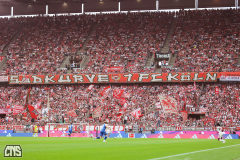 fc_hoffenheim_2627_001t
