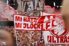 fc_hoffenheim_2627_001u