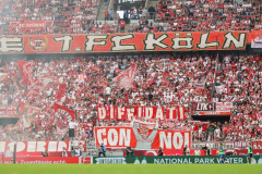 fc_hoffenheim_2627_001y