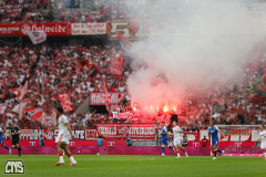 fc_hoffenheim_2627_002a