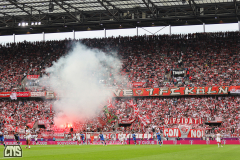 fc_hoffenheim_2627_002b