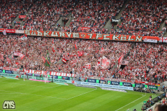 fc_hoffenheim_2627_002e