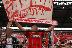 fc_hoffenheim_2627_002j