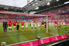 fc_hoffenheim_2627_002k