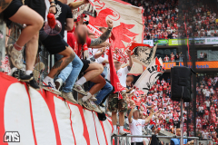 fc_hoffenheim_2627_002l