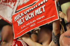 stuttgart_fc_2627_001v