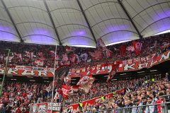 hsv_fc_2627_001h