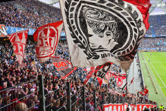 hsv_fc_2627_001o