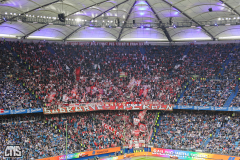 hsv_fc_2627_001r