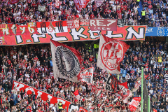 hsv_fc_2627_001s
