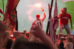 hsv_fc_2627_001t