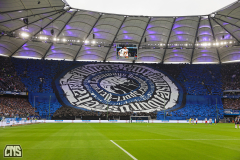 hsv_fc_2627_001x